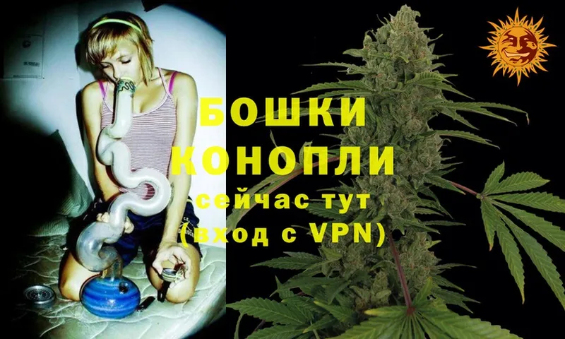 Шишки марихуана OG Kush  Кораблино 