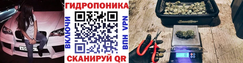 Бошки марихуана Amnesia  купить закладку  Кораблино 